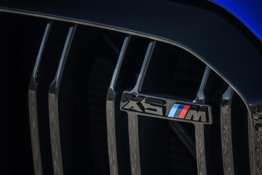 Логотип BMW X5 M Competition (F85) 2019 года  (WW) (фото 42 из 84)